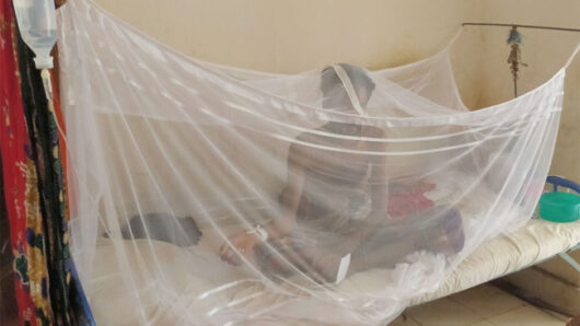 Two more die of dengue; 1,218 hospitalised