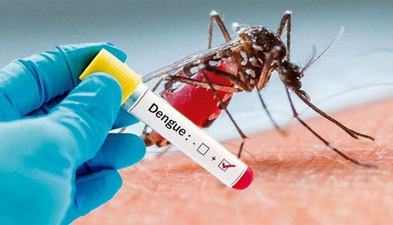 3 die of dengue; 411 hospitalised in 24hrs