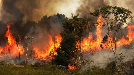 আমাজনের দুর্দশা- এবার আরো ভয়াবহভাবে পুড়ছে ‘পৃথিবীর ফুসফুস’