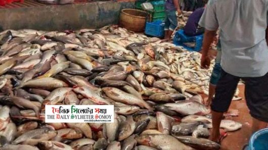 অক্সিজেনের অভাবে মরলো ১৪ কোটি টাকার মাছ