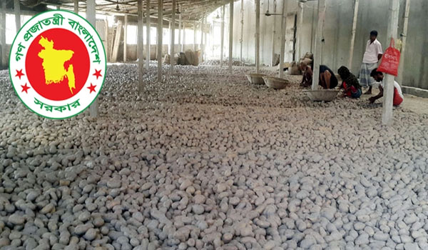 সিলেটসহ সারা দেশে আলুর পরিমাণ জানতে ডিসিদের চিঠি