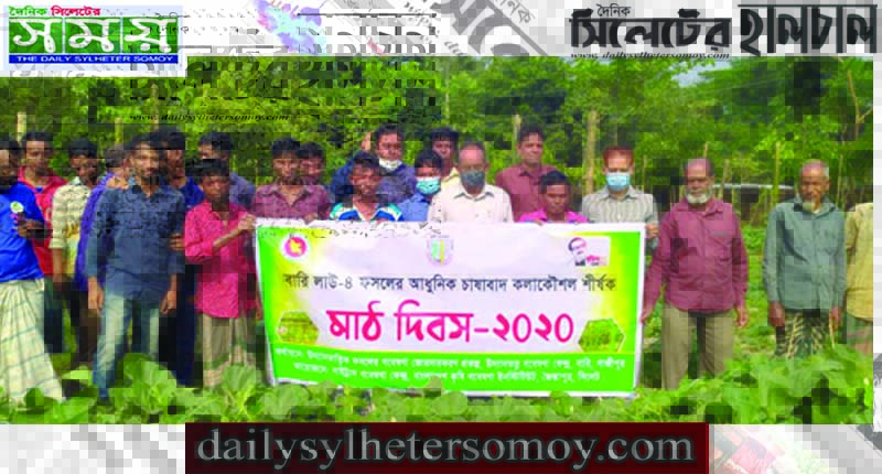 কামালবাজারে বারি লাউ-৪ ফসলের আধুনিক চাষাবাদের কলাকৌশল শীর্ষক মাঠ দিবস