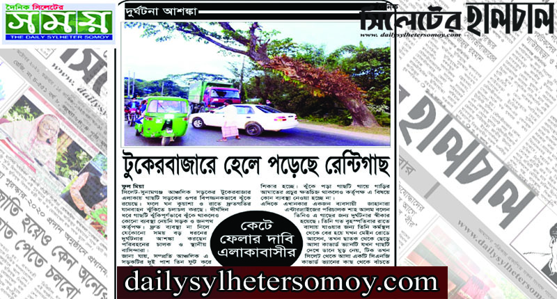 টুকেরবাজারে ঝুকিপূর্ণ গাছে দুর্ঘটনা আশঙ্ক! কেটে ফেলার দাবী পরিবহন চালক ও এলাকাবাসীর