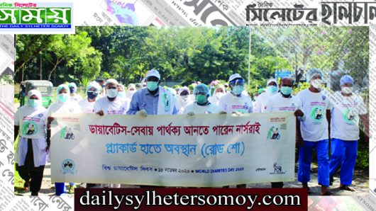 বিশ্ব ডায়াবেটিস দিবসে সিওমেকের র‌্যালী ও আলোচনা সভা