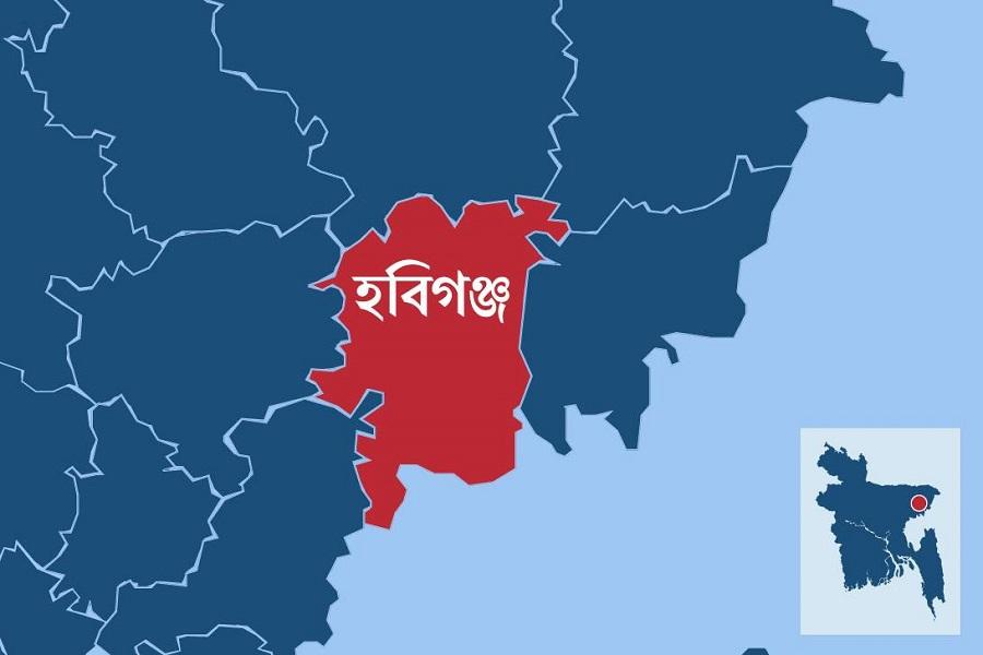 হবিগঞ্জে মাছ ধরা নিয়ে সংঘর্ষে আহত ২০
