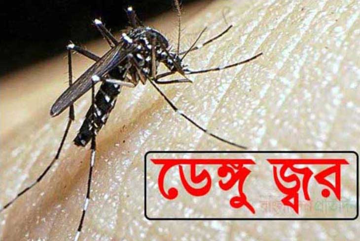 দেশে গত ২৪ ঘণ্টায় হাসপাতালে ভর্তি ২১ ডেঙ্গু রোগী