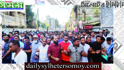 বিএনপির বিক্ষোভ সমাবেশে জেলা ও মহানগর ছাত্রদলের যোগদান