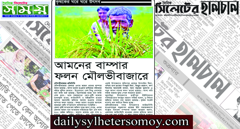 আমনের বাম্পার ফলন  চাষিদের মুখে হাসি