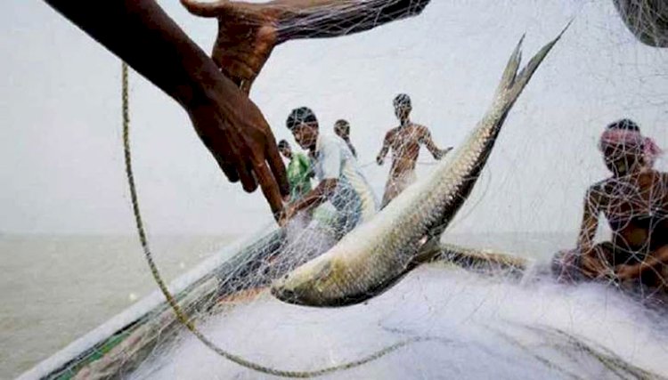 কাল শেষ হচ্ছে ইলিশ শিকারের নিষেধাজ্ঞা