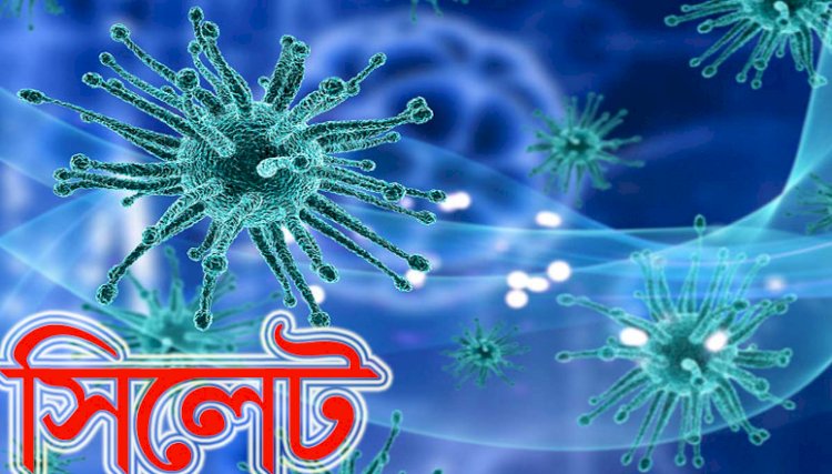 সিলেটে ২৪ ঘন্টায় করোনাক্রান্ত ৩৮, মৃত্যু ১