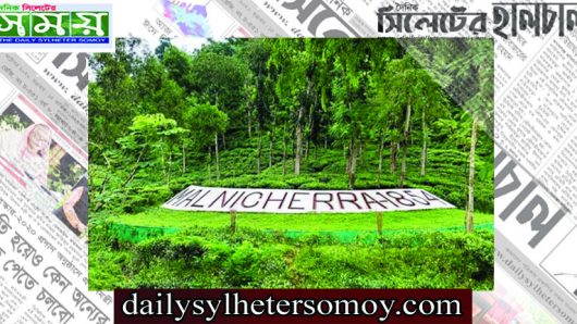 সিলেট মালনীছড়া চা বাগানে প্রবেশে টাকা দাবি : পর্যটকদের ক্ষোভ