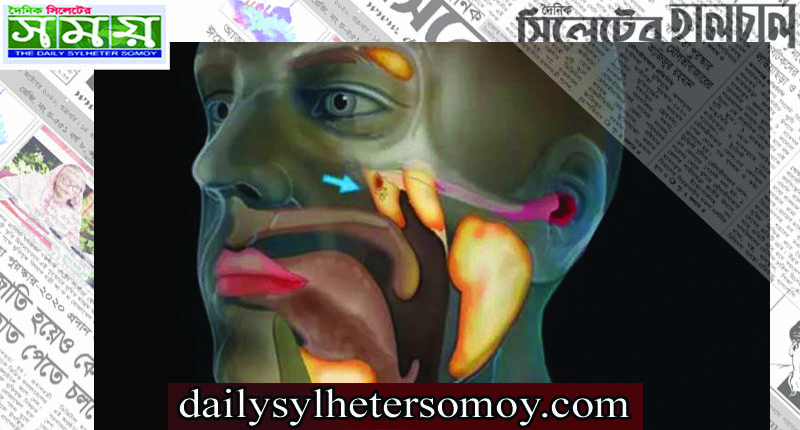 মানব শরীরে নতুন অঙ্গ খুঁজে পেলেন বিজ্ঞানীরা!