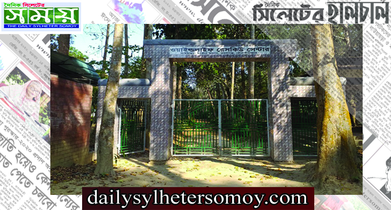 চিকিৎসক সংকটে লাউয়াছড়ার ওয়াইল্ড লাইফ রেসকিউ সেন্টার