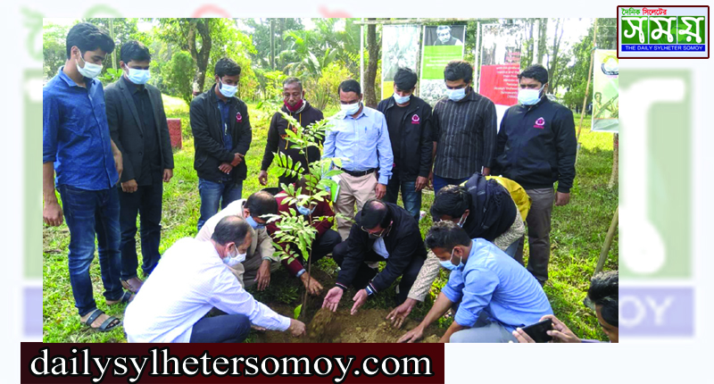মুজিব শতবর্ষে শাবি প্রেসক্লাবের বৃক্ষরোপণ