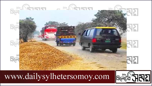 গোলাপগঞ্জে প্রতিদিন ২০ লাখ টাকার খনিজ সম্পদ পুড়িয়ে ধ্বংস