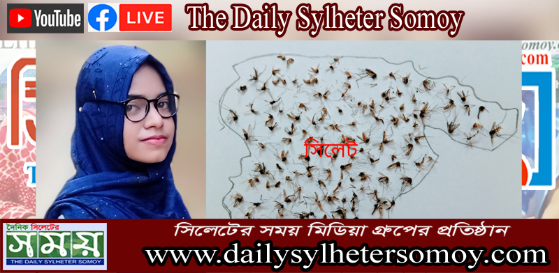 সিলেটে মশার উৎপাতে’ বাড়তে পারে ডেঙ্গু  : ফাতেমা আক্তার