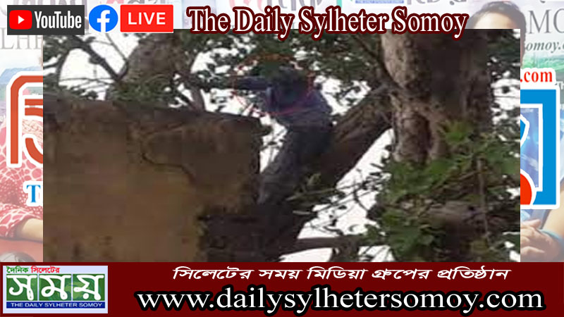 দুই বছর ধরে বাবার বাড়িতে বউ, হতাশ হয়ে ৫০ ফুট গাছে স্বামী!