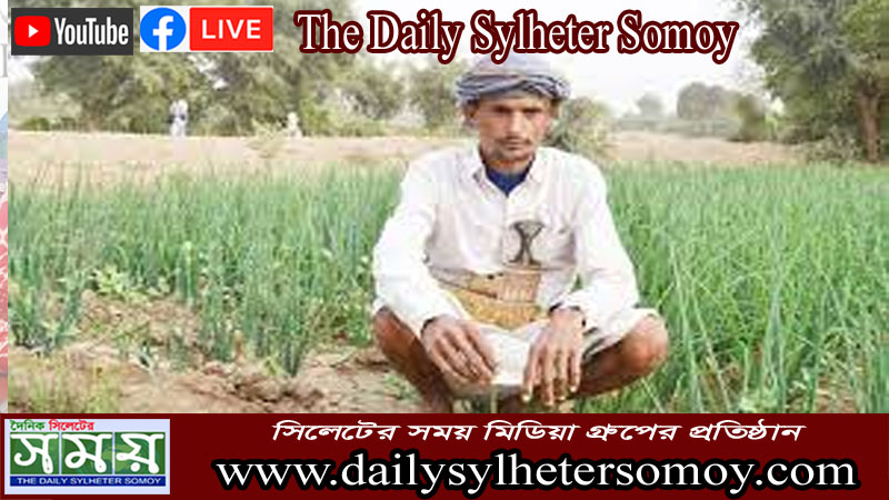 ইয়েমেনের কৃষিখাতে ১১ হাজার ১০০ কোটি ডলারের ক্ষতি