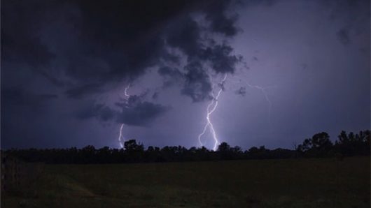 নেত্রকোনায় বজ্রপাতে নিহত ৭