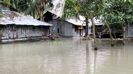 ইয়াসের প্রভাব তালতলীতে ৫ শতাধিক ঘরবাড়ি প্লাবিত