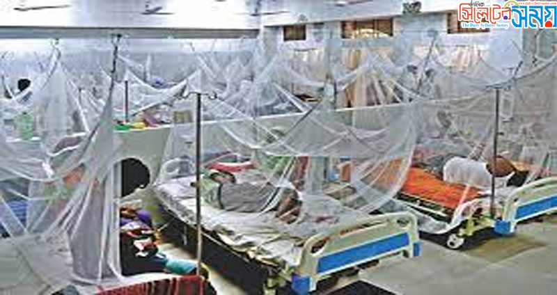আরও ২২৪ জন নতুন ডেঙ্গু রোগী হাসপাতালে ভর্তি