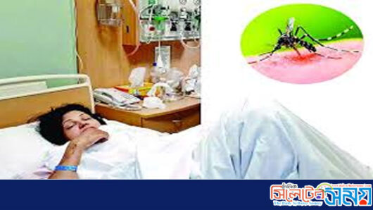 ৩১৯ জন নতুন ডেঙ্গু রোগী হাসপাতালে ভর্তি