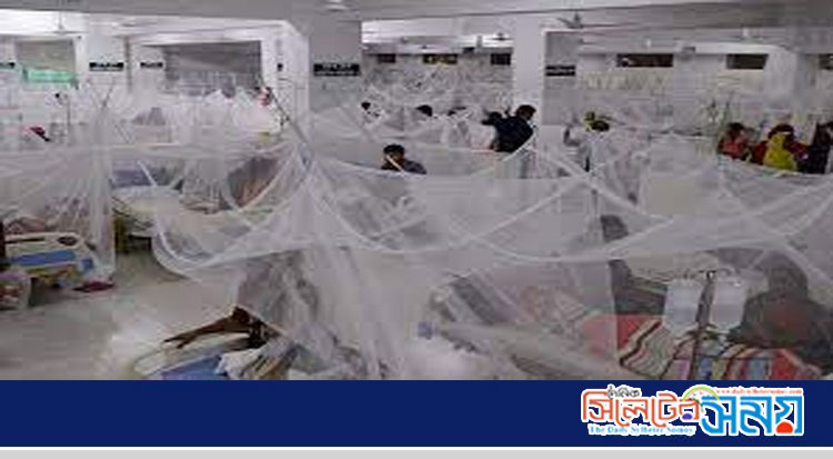 ডেঙ্গু জ্বরে আক্রান্ত হয়ে ২৭৫ জন হাসপাতালে ভর্তি