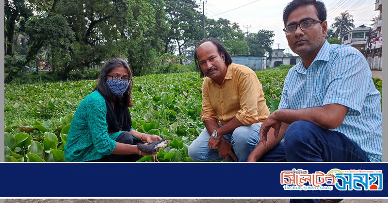 পাখির প্রতি বিশ্ববিদ্যালয় ছাত্রীর ভালোবাসা : সিলেটে বিলুপ্তপ্রায় ডাহুক অবমুক্ত