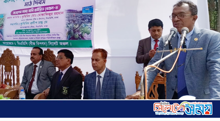 কান্দিগাওয়ে বারি হাইব্রিড বেগুন-৪ এর মাঠ দিবস অনুষ্ঠিত