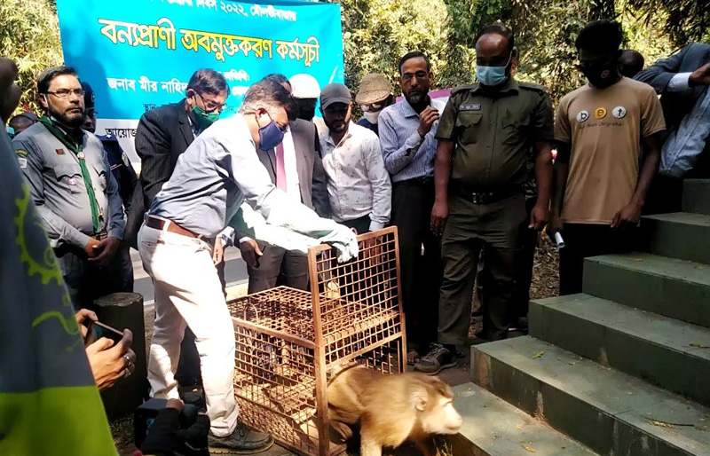 মৌলভীবাজারের কমলগঞ্জে লাউয়াছড়া জাতীয় উদ্যানে বিশ্ব বন্যপ্রাণী দিবস পালিত 