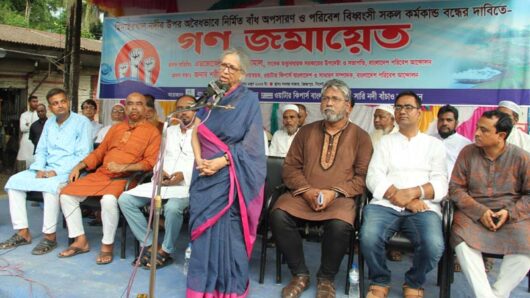 পরিবেশ ধ্বংসকারীরা বাংলাদেশের শত্রু : সুলতানা কামাল