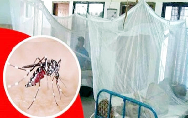 ডেঙ্গুতে রেকর্ড, ২৪ ঘণ্টায় ১৩ জনের মৃত্যু