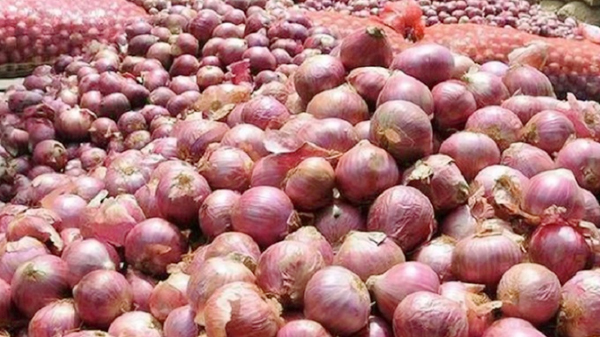 এশিয়ার সবচেয়ে বড় পিঁয়াজ বাজার বন্ধ