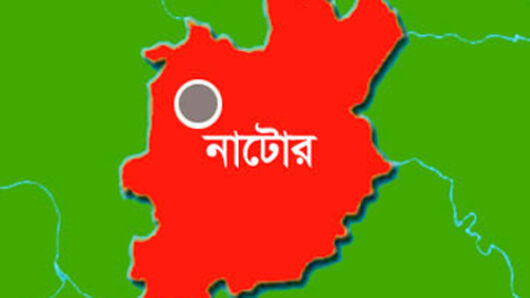 মৃত আত্মীয়কে দেখতে যাওয়ার পথে স্বামী-স্ত্রী নিহত