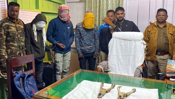 পাচারের আগে উদ্ধার মাথার খুলিসহ ২টি বার্কিং হরিণের শিং, গ্রেফতার ৩
