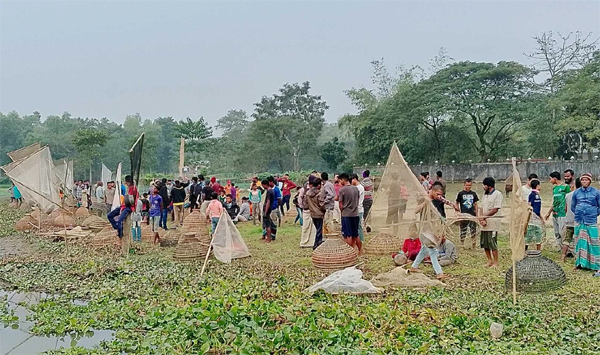 বিশ্বনাথের গোয়াহরি বিলে ঐতিহ্যবাহী পলো বাওয়া উৎসব সম্পন্ন