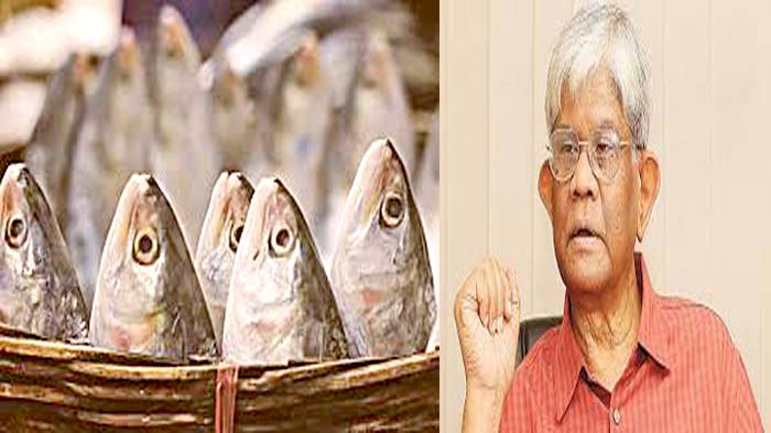 সর্বোচ্চ মহলের সিদ্ধান্তে ইলিশ রফতানি, ইমোশনাল কথা বলে লাভ নাই: অর্থ উপদেষ্টা