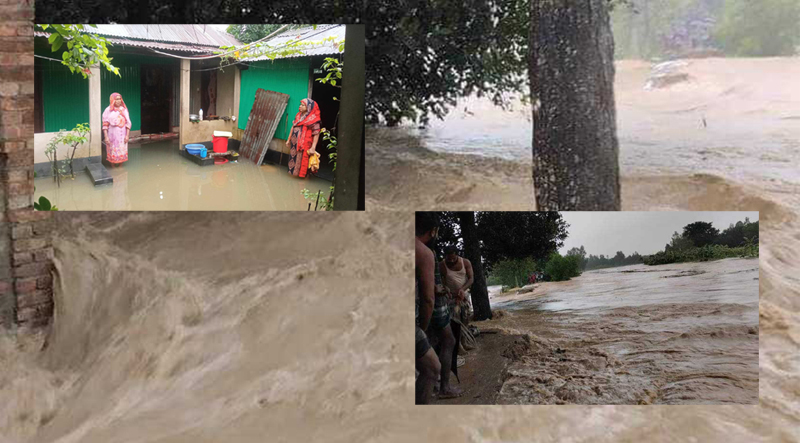 শেরপুরে পাহাড়ি ঢলে শতাধিক গ্রাম প্লাবিত, ভেঙেছে দুই নদীর পাড়