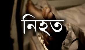 বড়লেখায় সড়কে দাঁড়িয়ে থাকা পিকআপে ধাক্কায় মোটরসাইকেল আরোহী নিহত