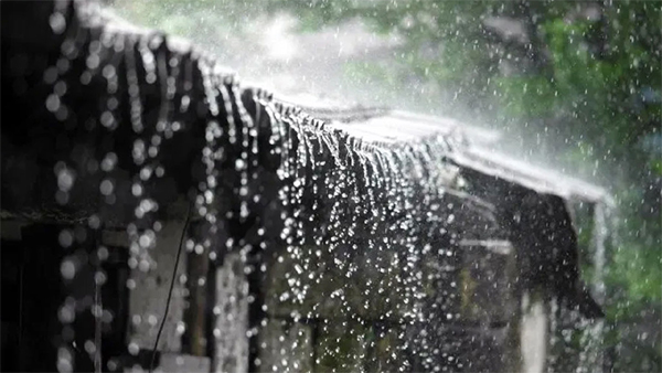 ১১ অঞ্চলে ঝোড়ো হাওয়াসহ বৃষ্টির পূর্বাভাস