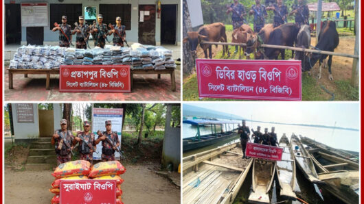 সীমান্ত এলাকায় পৃথক অভিযানে ১ কোটি ১৩ লক্ষ টাকার ভারতীয় চোরাই পন্য জব্দ