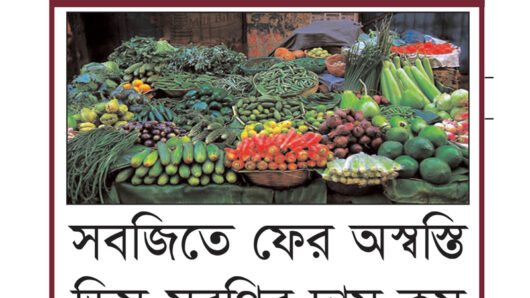 সিলেটের বাজার : সবজিতে ফের অস্বস্তি ডিম-মুরগির দাম কম