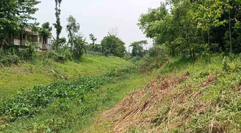 জিয়া থেকে তারেক: আবার প্রাণ ফিরছে সিলেটের বাসিয়া খালে