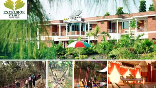 প্রবাসীদের শতকোটি টাকার স্বপ্নের ‘জাকারিয়া সিটি’ দখল করে চলছে মাদক, জুয়া ও অনৈতিক কর্মকাণ্ড