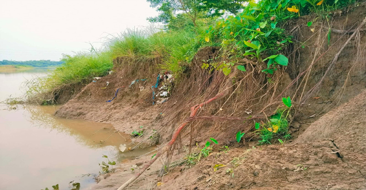 গোলাপগঞ্জে শিংপুর ডাইক ভাঙন, আতঙ্কে এলাকাবাসী