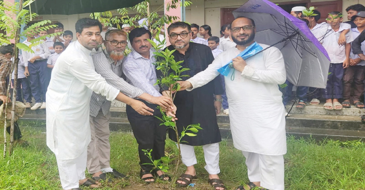 রাজা গিরিশচন্দ্র স্কুল অ্যান্ড কলেজে বৃক্ষরোপণ কর্মসূচির উদ্বোধন