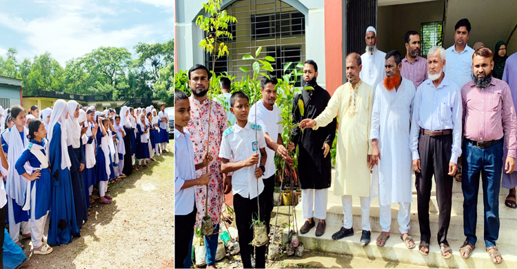 খাদিমনগর ইউনিয়নের শিক্ষা প্রতিষ্ঠান ও মসজিদ ও শিক্ষার্থীদের মধ্যে বৃক্ষের চারা বিতরণ