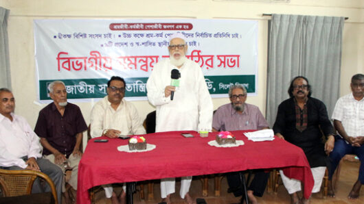 দ্বিকক্ষ বিশিষ্ট সংসদ ও স্ব-শাসিত স্থানীয় সরকার ব্যবস্থা চালুর কোনো বিকল্প নেই: অধ্যাপক শফিক