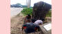 ইউএনও’র নাম ভাঙিয়ে সিলেট-ঢাকা মহাসড়কে সরকারি গাছ কাটার অভিযোগ, তদন্তে প্রশাসন
