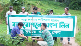 সুরমা বয়েজ ক্লাবের উদ্যোগে বৃক্ষরোপণ